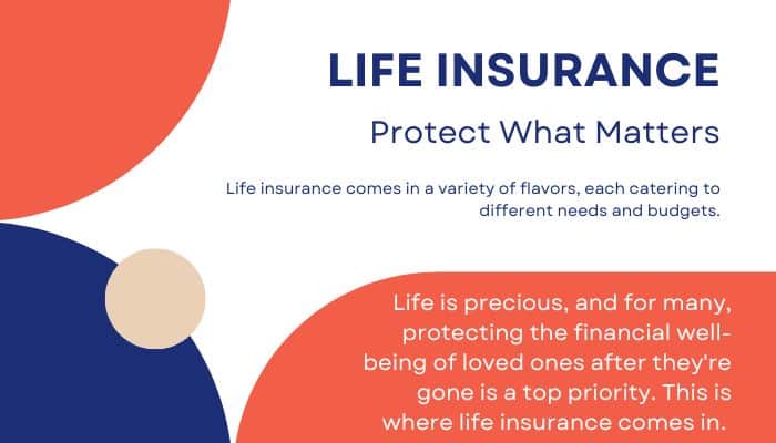 Life Insurance Policies in the USA