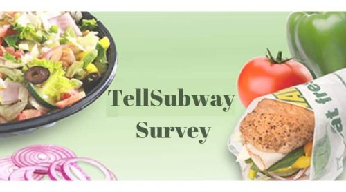TellSubway Survey